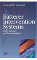 Batterer Intervention Systems