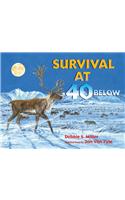 Survival at 40 Below