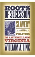 Roots of Secession