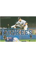 New York Yankees 365