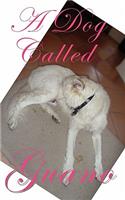 A Dog Called Guano