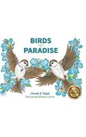 Birds of Paradise
