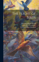 Flight of Birds