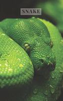 Snake: Notebook With Curio, Education Notebook, Animal Notebook, School Notebook, Office Notebook, Journal, Diary (110 Pages, Blank, Lines, 6 x 9)