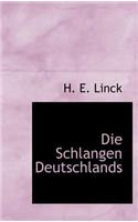 Die Schlangen Deutschlands