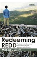 Redeeming REDD