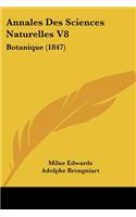 Annales Des Sciences Naturelles V8