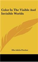 Color in the Visible and Invisible Worlds