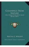 Gleanings From Nature: Or A Home Tour With Aunt Bessie (1871)(English)