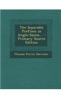 The Separable Prefixes in Anglo-Saxon... - Primary Source Edition