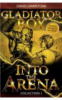 Into the Arena