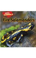 Fire Salamanders