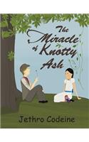 The Miracle of Knotty Ash