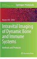 Intravital Imaging of Dynamic Bone and Immune Systems