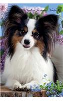 Papillon January Notebook Papillon Record, Log, Diary, Special Memories, to Do List, Academic Notepad, Scrapbook & More