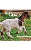 Baby Goats Calendar 2017: 16 Month Calendar