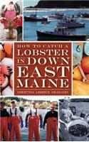 How to Catch a Lobster in Down East Maine