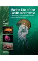 Marine Life of the Pacific Northwest