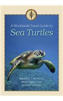 Worldwide Travel Guide to Sea Turtles