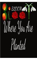 Bloom Where You Are Planted: Quote Journal for Women, Women's Writing Journal with Blank Pages and Inspirational Quotes Throughout,