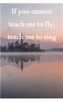 If you cannot teach me to fly, teach me to sing