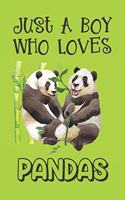 Just A Boy Who Loves Pandas