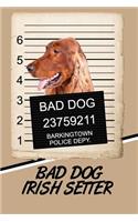 Bad Dog Irish Setter: Blank Cookbook Recipes & Notes Featuring 120 Pages 6x9