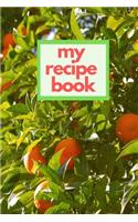 My Recipe Book