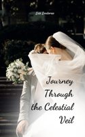 Journey Through the Celestial Veil