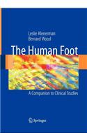 Human Foot