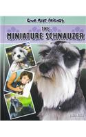 Miniature Schnauzer