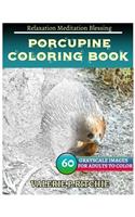 Porcupine Coloring Book for Adults Relaxation Meditation Blessing: Sketches Coloring Book 60 Grayscale Images