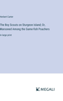 Boy Scouts on Sturgeon Island; Or, Marooned Among the Game-fish Poachers