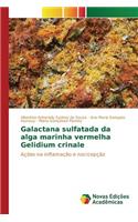 Galactana sulfatada da alga marinha vermelha Gelidium crinale
