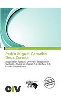 Pedro Miguel Carvalho Deus Correia: (English)