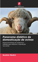 Panorama didático da domesticação de ovinos