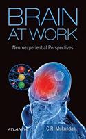 Brain At Work Neuroexperiential Perspectives