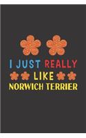 I Just Really Like Norwich Terrier
