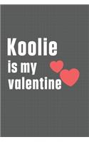 Koolie is my valentine: For Korean Jindo Dog Fans