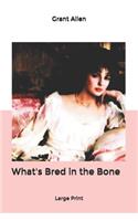 What's Bred in the Bone: Large Print