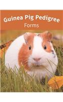 Guinea Pig Pedigree Forms: Keep Records of your Herd's Bloodlines with 40 Easy-to-Use Three Generation Cavy Pedigree Templates: Just Fill in the Information / Great for 4H, FF