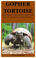 Gopher Tortoise