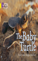 Baby Turtle: Band 03/Yellow