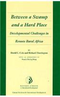 Between a Swamp and a Hard Place: Developmental Challenges in Remote Rural Africa