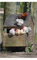 Hanging Out with the Chickens at the Hen House Journal: 150 Page Lined Notebook/Diary