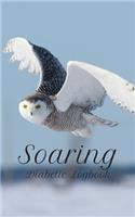 Soaring Diabetic Logbook