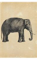 Elephantus Indicus Elephant: Vintage Animal Illustration Lined Notebook and Diary
