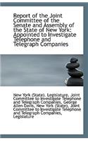 Report of the Joint Committee of the Senate and Assembly of the State of New York