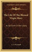 The Life of the Blessed Virgin Mary