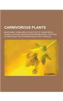 Carnivorous Plants: Brocchinia, Carnivorous Plant, List of Carnivorous Plants, Mucilage, Paepalanthus Bromelioides, Philcoxia, Pitcher Pla